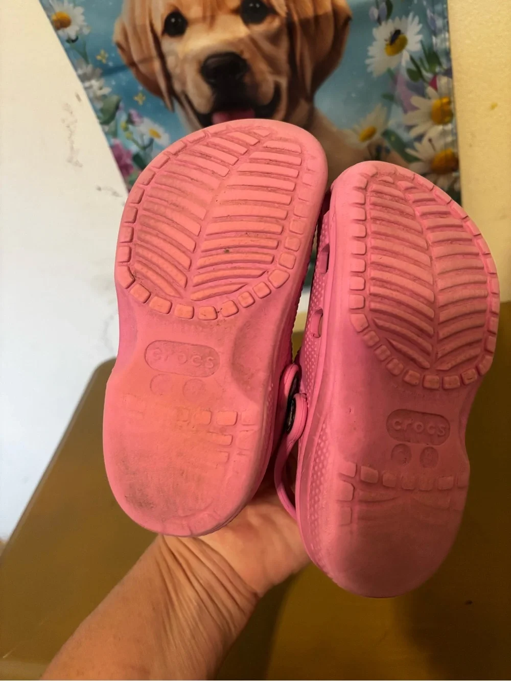 CROCS Kids' Classic Clog in Pink